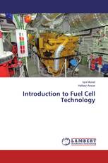 Introduction to Fuel Cell Technology