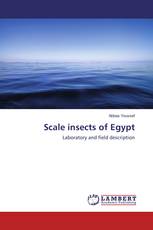 Scale insects of Egypt
