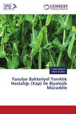Fasulye Bakteriyel Yanıklık Hastalığı (Xap) ile Biyolojik Mücadele