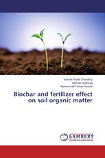 Biochar and fertilizer effect on soil organic matter