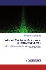 Internal Torsional Resistance in Deflected Shafts
