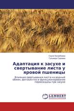 Адаптация к засухе и свертывание листа у яровой пшеницы