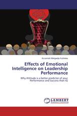 Effects of Emotional Intelligence on Leadership Performance