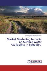 Market Gardening Impacts on Surface Water Availability in Babadjou