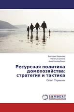 Ресурсная политика домохозяйства: стратегия и тактика