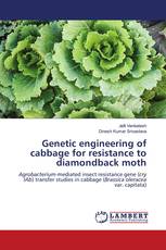Genetic engineering of cabbage for resistance to diamondback moth