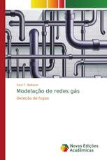 Modelação de redes gás