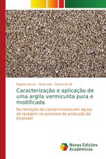 Caracterização e aplicação de uma argila vermiculita pura e modificada