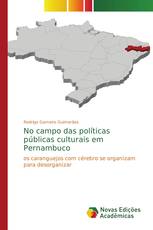 No campo das políticas públicas culturais em Pernambuco