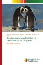 Bumblefoot e os desafios na reabilitação de pinguins