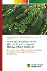 A IgY anti-Photobacterium damselae na terapia de Rachycentron canadum