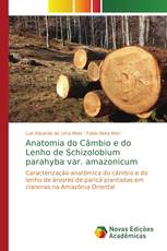 Anatomia do Câmbio e do Lenho de Schizolobium parahyba var. amazonicum