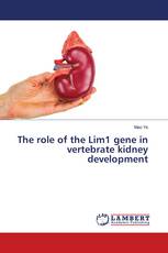 The role of the Lim1 gene in vertebrate kidney development