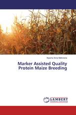 Marker Assisted Quality Protein Maize Breeding