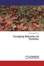 Foraging Behavior of Termites