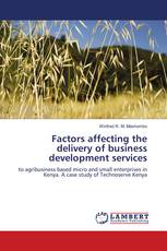 Factors affecting the delivery of business development services