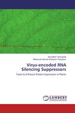 Virus-encoded RNA Silencing Suppressors