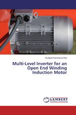 Multi-Level Inverter for an Open End Winding Induction Motor