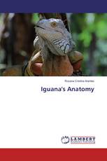 Iguana's Anatomy