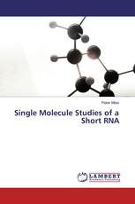 Single Molecule Studies of a Short RNA