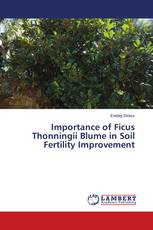 Importance of Ficus Thonningii Blume in Soil Fertility Improvement