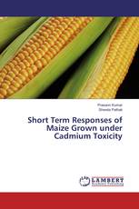 Short Term Responses of Maize Grown under Cadmium Toxicity