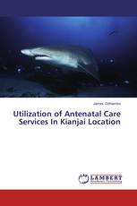 Utilization of Antenatal Care Services In Kianjai Location