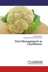 Pest Management in Cauliflower