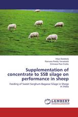 Supplementation of concentrate to SSB silage on performance in sheep