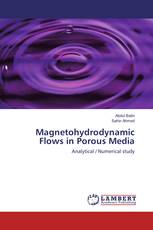 Magnetohydrodynamic Flows in Porous Media
