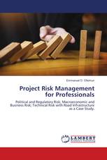 Project Risk Management for Professionals
