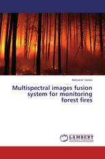 Multispectral images fusion system for monitoring forest fires