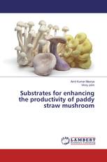 Substrates for enhancing the productivity of paddy straw mushroom