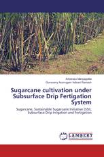 Sugarcane cultivation under Subsurface Drip Fertigation System