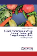 Secure Transmission of Text through Images with Encryption Algorithms