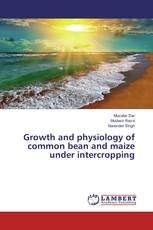 Growth and physiology of common bean and maize under intercropping