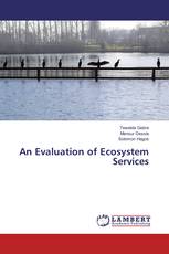 An Evaluation of Ecosystem Services