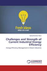 Challenges and Strength of Current Industrial Energy Efficiency