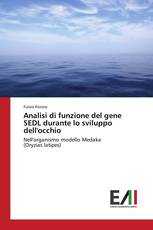 Analisi di funzione del gene SEDL durante lo sviluppo dell'occhio