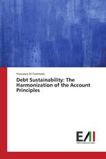 Debt Sustainability: The Harmonization of the Account Principles