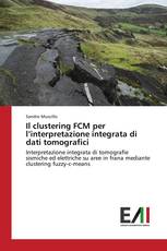 Il clustering FCM per l’interpretazione integrata di dati tomografici