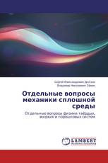 Отдельные вопросы механики сплошной среды