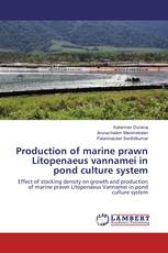 Production of marine prawn Litopenaeus vannamei in pond culture system