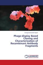 Phage-display Based Cloning and Characterization of Recombinant Antibody Fragments