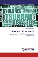 Beyond the Tsunami