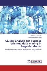 Cluster analysis for purpose oriented data mining in large databases