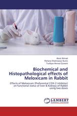 Biochemical and Histopathological effects of Meloxicam in Rabbit