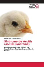 Síndrome de Ascitis (ascites syndrome)