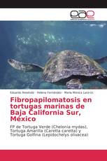 Fibropapilomatosis en tortugas marinas de Baja California Sur, México