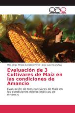 Evaluación de 3 Cultivares de Maíz en las condiciones de Amancio